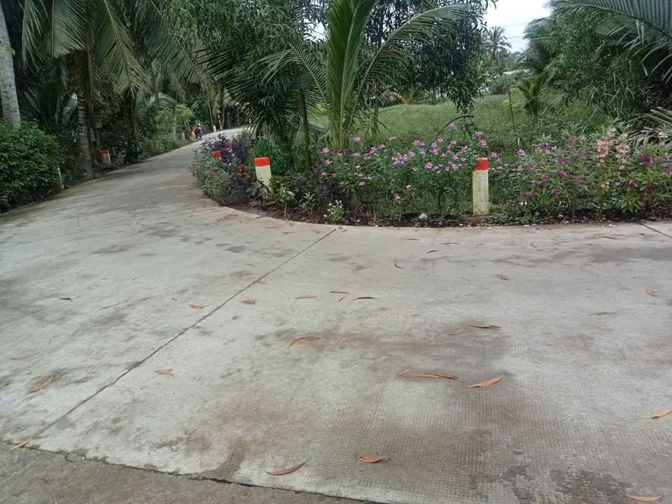 Đất nền Tân Thanh Giồng Trôm Bến Tre 1200m² giá 670 triệu - Đường ô tô thông thoáng!