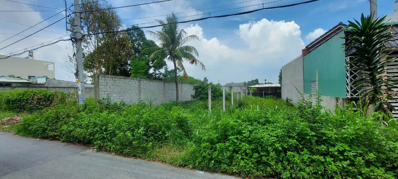 Đất nền Tân Thông Hội 252m² giá chỉ 3.9 tỷ - Vị trí đẹp, thích hợp xây nhà