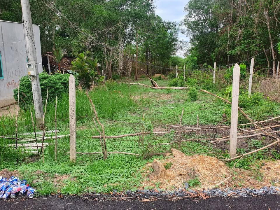 Đất thổ cư tại Tân Thạnh Tây, Củ Chi 400m² giá 3.5 tỷ - Cơ hội đầu tư vàng!