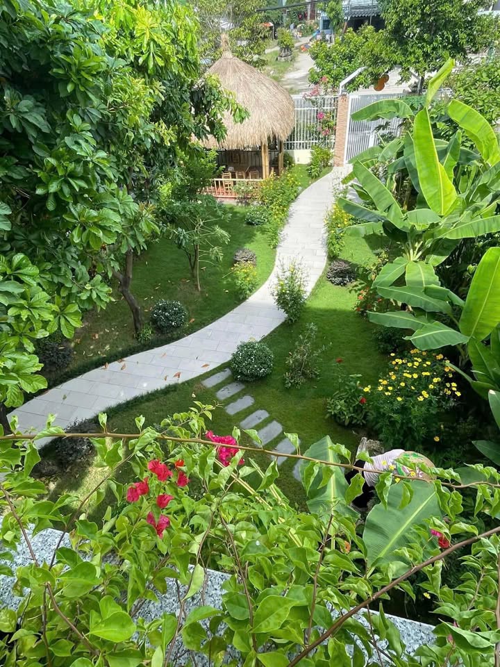 Cho thuê nhà sân vườn Đường Chính Hữu 350m² giá 35 triệu - Gần biển Phạm Văn Đồng