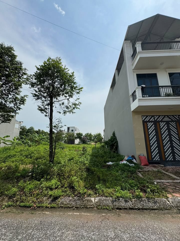 Đất nền Dĩnh Trì 92m² giá 2 tỷ - Đầu tư sinh lời tại khu dân cư mới!