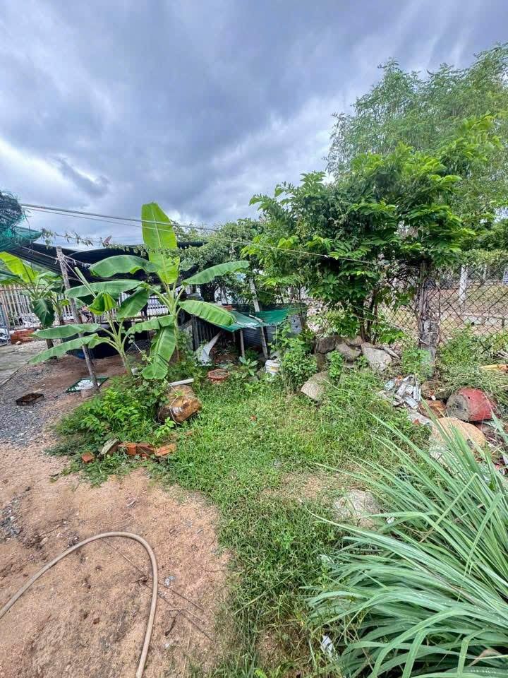 Đất thổ cư Lộc An Cam Ranh 100m² giá 1.6 tỷ - Hẻm bê tông ô tô vào tận nơi!