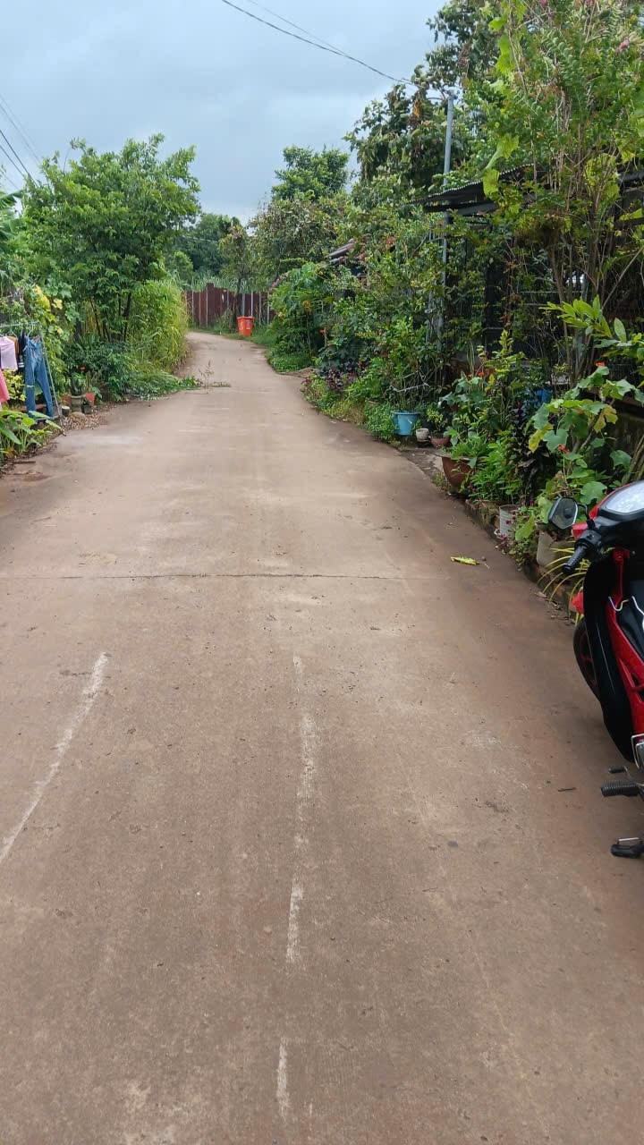 Nhà cấp 4 Hưng Lộc Trảng Bom 256m² giá 1 tỷ - Cần bán gấp!