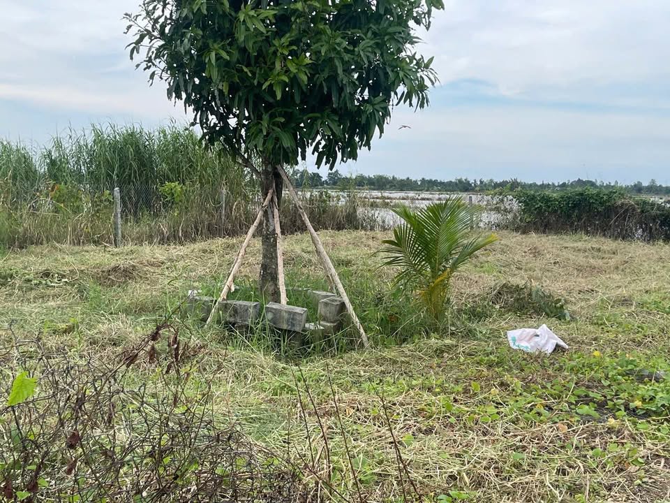 Đất Thạnh Lộc, Châu Thành, Kiên Giang 265m² giá 900 triệu - Cơ hội đầu tư tuyệt vời!