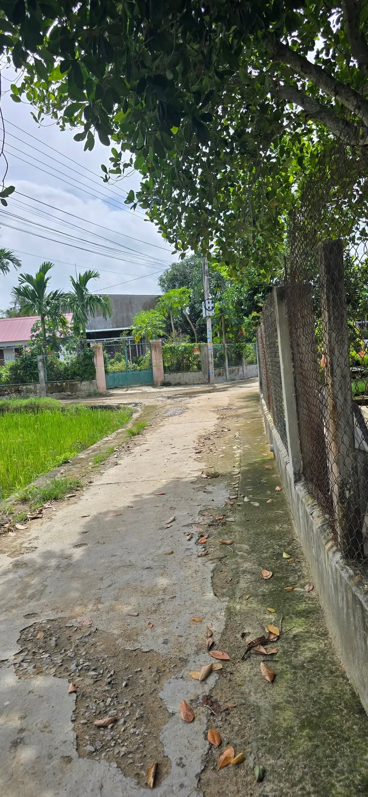 Nhà bán Phước Quang, Tuy Phước 130m² giá 600 triệu - Vị trí tiện lợi gần siêu thị!