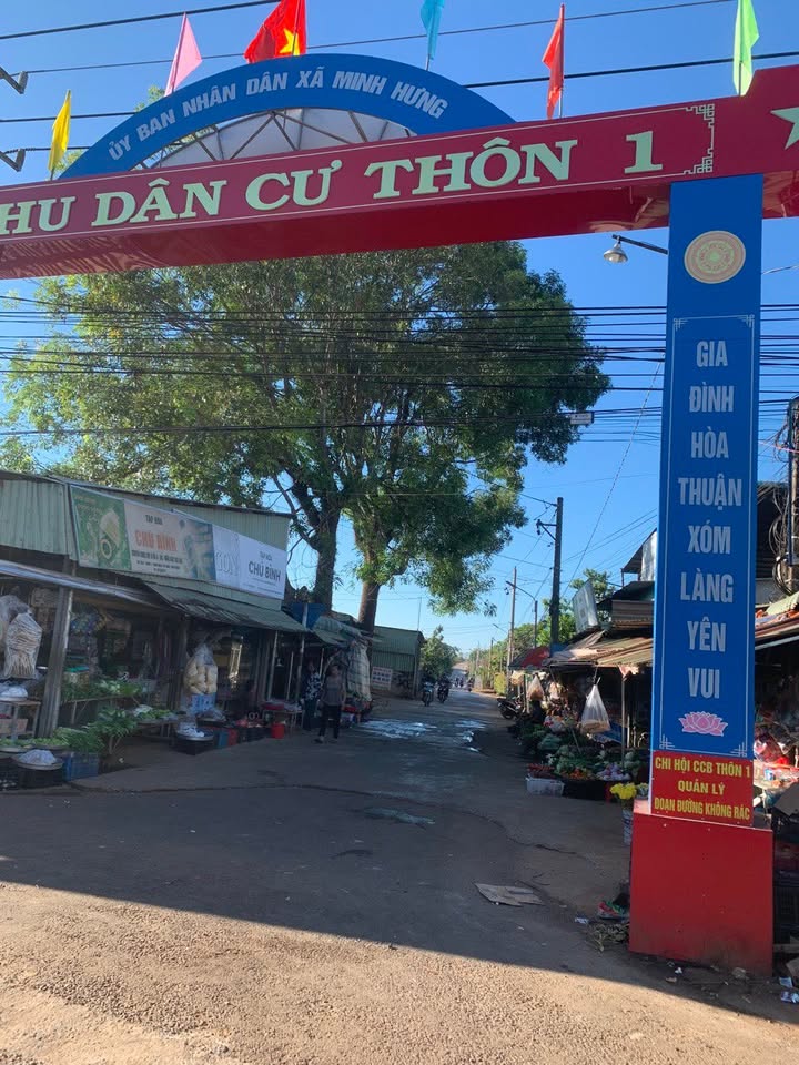 Đất nền Bù Đăng 1400m² giá 126 tỷ - Đường nhựa, tiện lợi cho đầu tư!