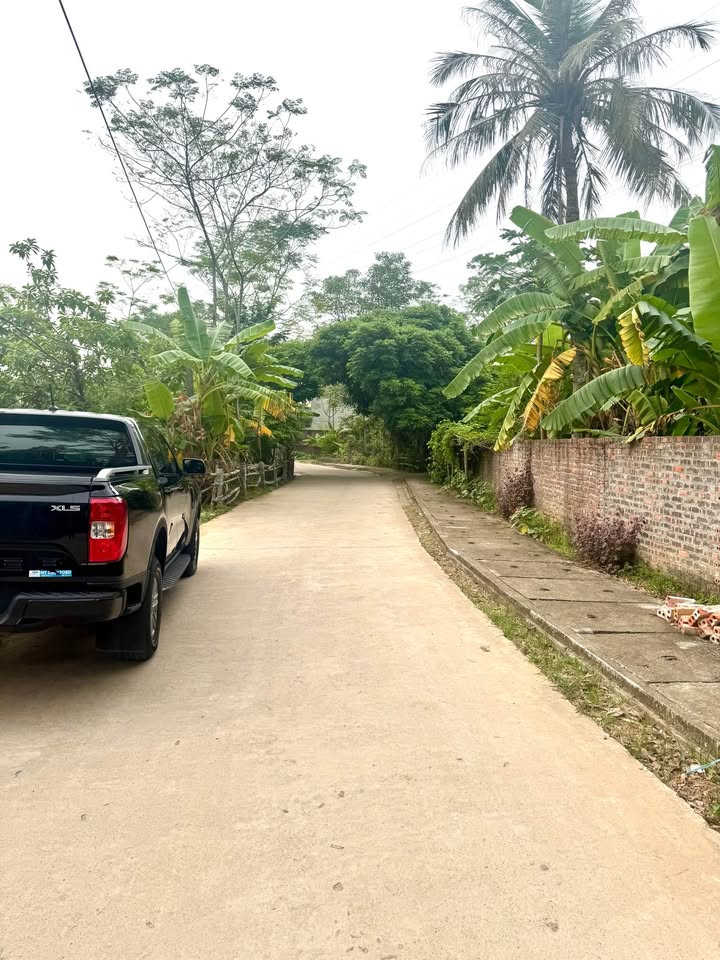 Đất nền lô góc Phường Nông Trang 140m² giá 1 tỷ - Cơ hội đầu tư vàng!