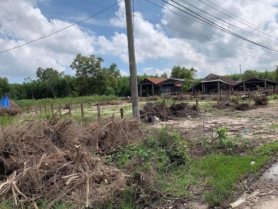 Đất nền xã Bình Tân, Tây Sơn 250m² giá 700 triệu - Cơ hội đầu tư hấp dẫn!