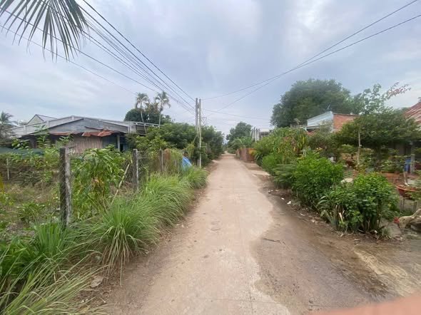 Đất thổ cư 100m² tại Tân Phú, Tân Châu, Tây Ninh - Giá chỉ 850 triệu