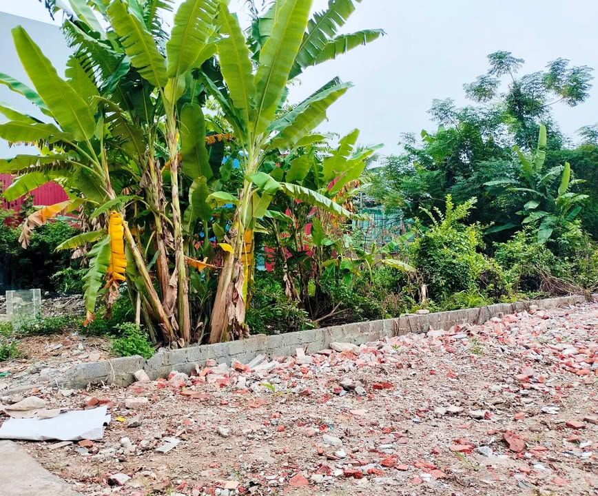 Đất nền Phù Liễn, Kiến An 196.8m² giá chỉ 4.1 tỷ - Ô tô vào tận nơi!