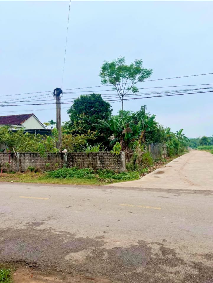 Đất nền lô góc 2 mặt tiền Tạ Quang Bửu 210m² giá chỉ 999 triệu - Đầu tư sinh lời ngay!