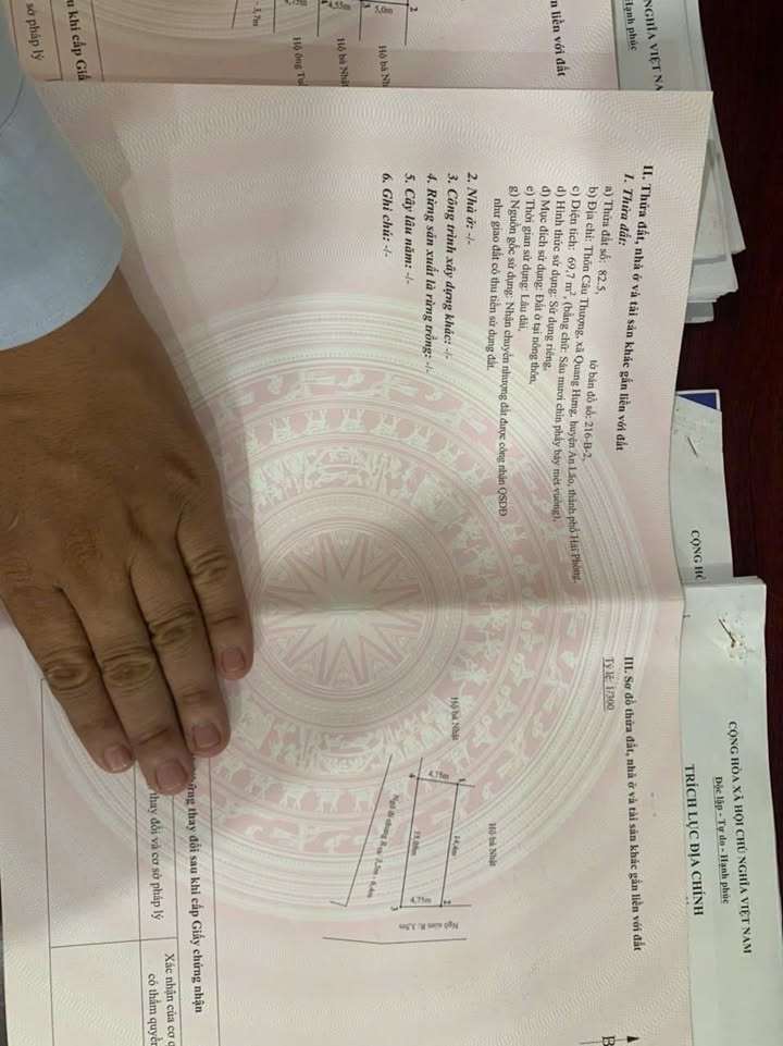 Đất nền Quang Hưng, An Lão 69,7m² chỉ 850 triệu - Vị trí đắc địa gần chợ và trường học!