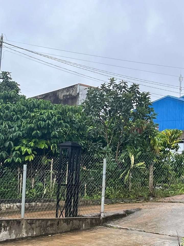 Bán đất đẹp xã Tân Lạc, Bảo Lâm 133,1m² giá 850 triệu - Đầu tư tiềm năng!