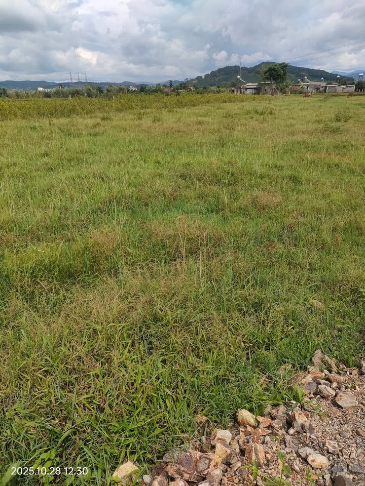 Đất ruộng 540m² Tân Văn Lâm Hà giá chỉ 150 triệu - Sổ đỏ đầy đủ!