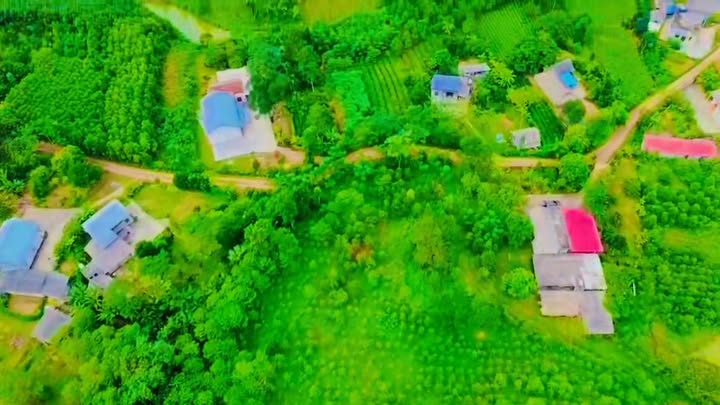 Đất Farm Đồng Thịnh Yên Lập 3180m² giá 700 triệu - Đầu tư lý tưởng cho nghỉ dưỡng!