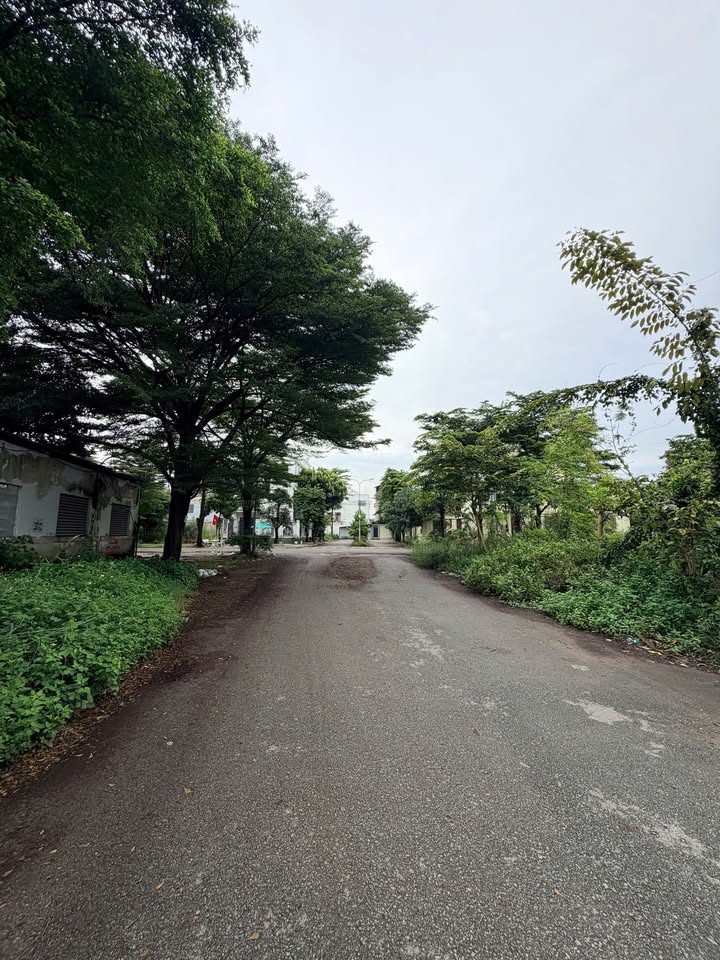 Đất biệt thự Phú Hữu Quận 9, 450m² giá chỉ 19 tỷ - Đầu tư sinh lời ngay!