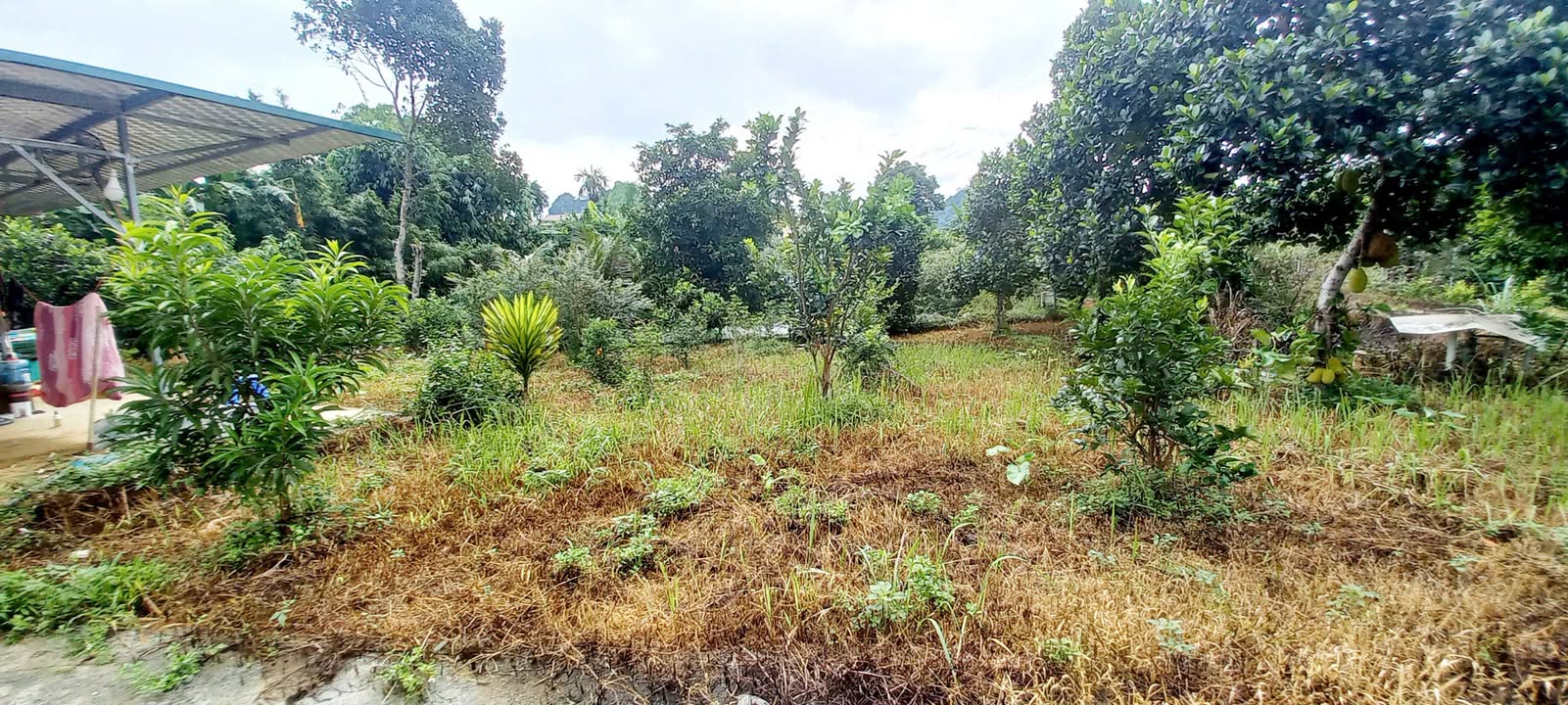 Đất nền Cao Dương, Lương Sơn 1800m² - Cơ hội đầu tư sinh lời!