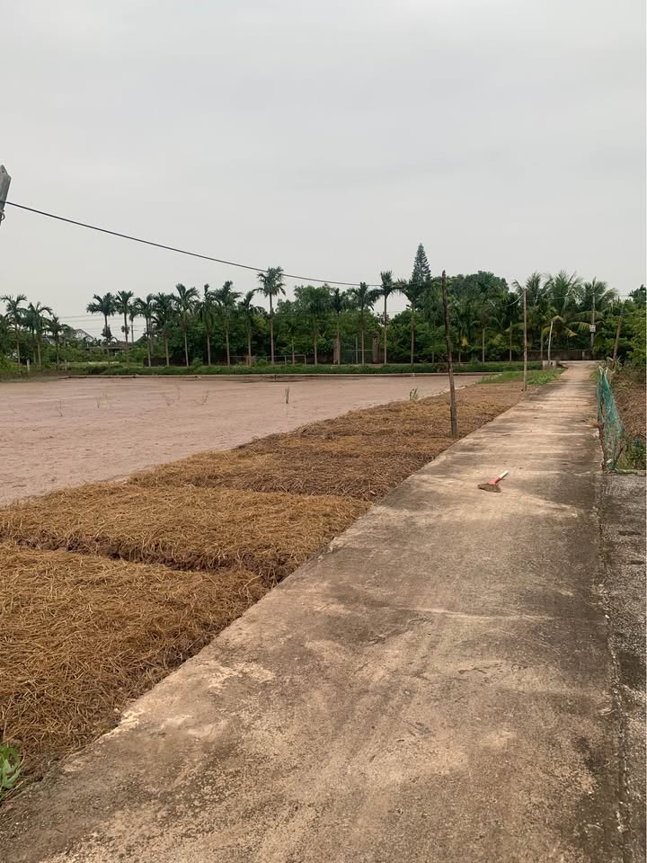 Đất nền thôn 6, xã Nga Thái, 500m² giá thỏa thuận - View cánh đồng thoáng đãng!