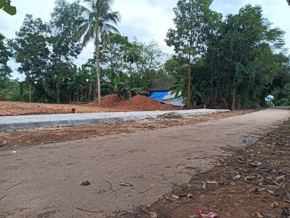 Đất nền Hợp Tiến, Triệu Sơn 176m² giá chỉ 400 triệu - Cơ hội đầu tư hấp dẫn!