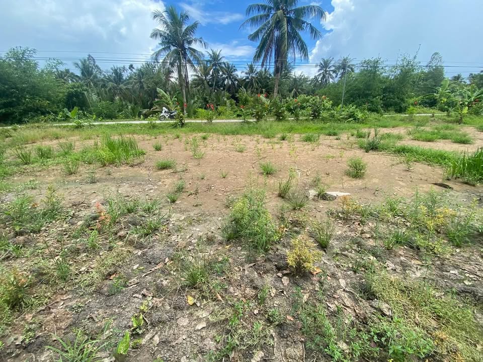 Đất nền Ngãi Tứ, Vĩnh Long 108m² giá 190 triệu - Sổ hồng 100% chính chủ!