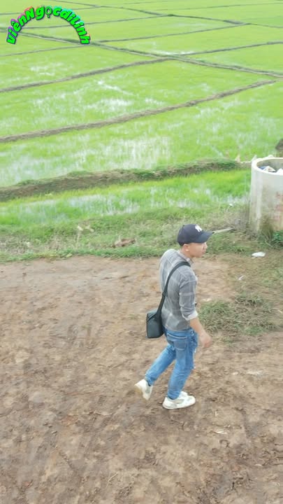 Biệt thự ruộng Bảo Thuận Di Linh 1000m² giá 1.85 tỷ - View ruộng tuyệt đẹp!