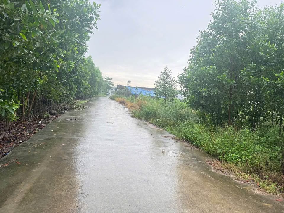 Đất nền An Viễn, Trảng Bom, Đồng Nai 100m² giá chỉ 1 tỷ - Đường 5m thông thoáng, dân cư đông đúc!