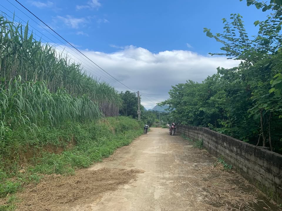 Đất thổ cư 800m² tại Vĩnh Tiến, Kim Bôi - Giá chỉ từ 1 triệu/m²!