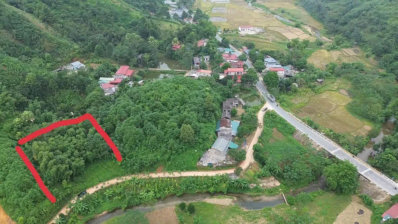 Đất nền Thạch Kiệt, Tân Sơn, Phú Thọ 189m² giá chỉ từ 1xx triệu - Cơ hội đầu tư vàng!