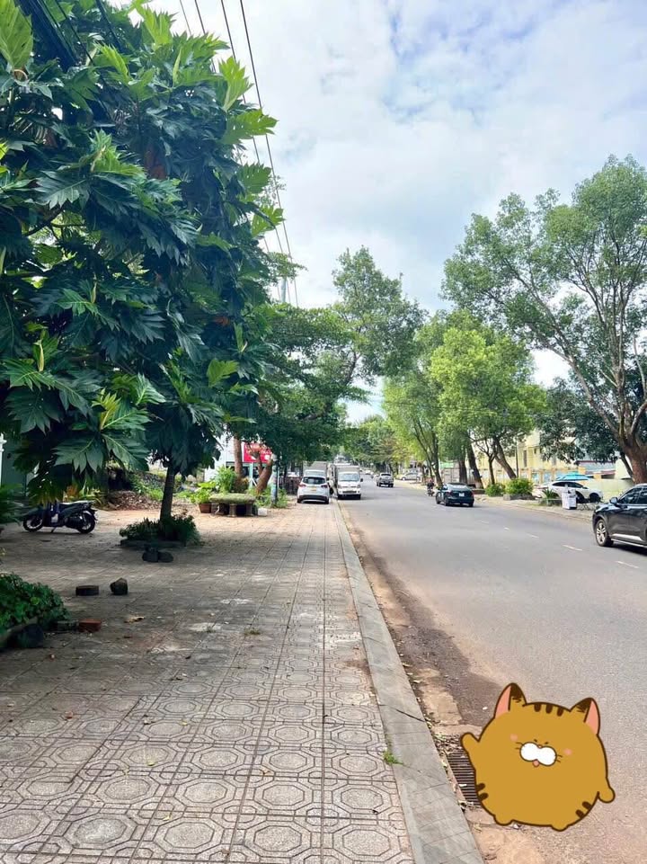 Đất nền mặt tiền Tôn Thất Tùng Pleiku 280m² giá 6 tỷ - Vị trí đắc địa cho kinh doanh