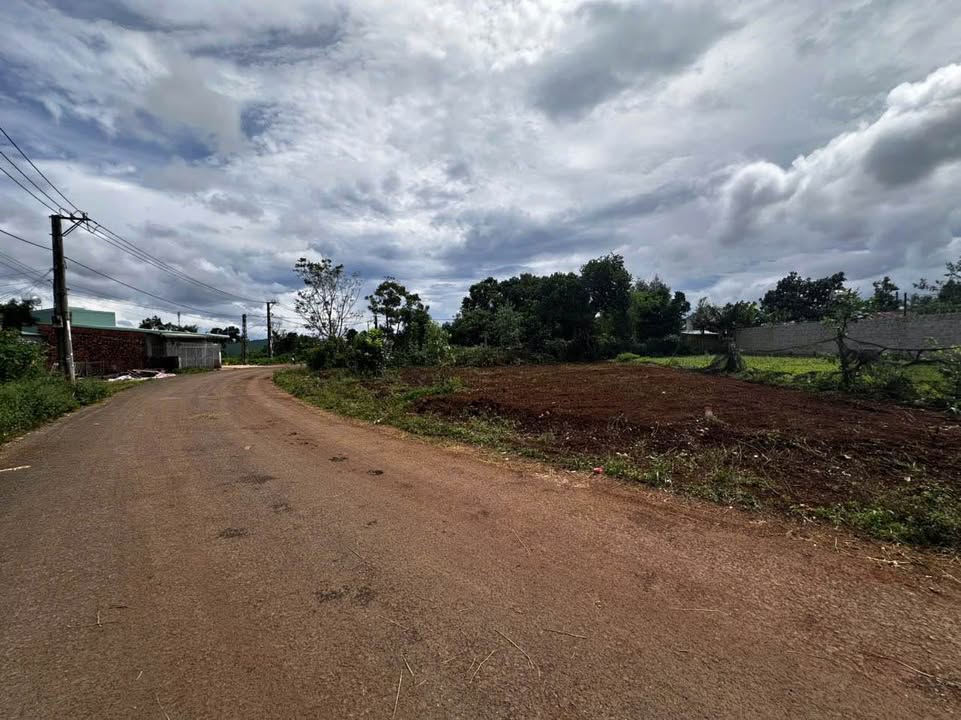 Đất nền An Phú Pleiku 298m² - Không gian lý tưởng để sống an yên!