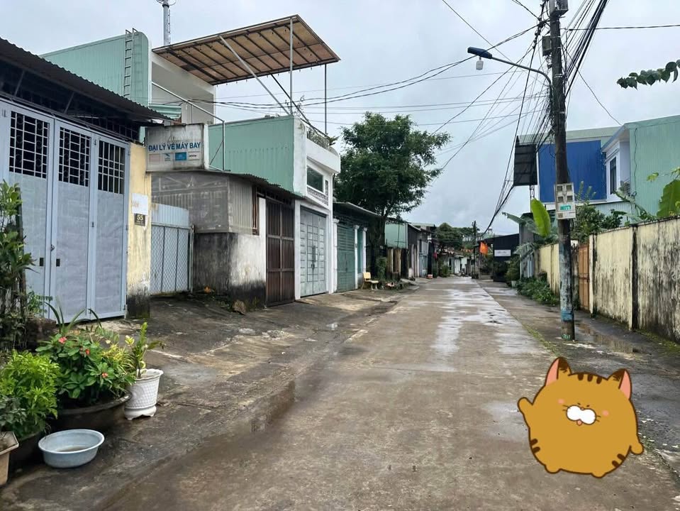 Nhà hẻm ô tô Phường Hoa Lư, Pleiku 103.4m² giá 1.8 tỷ - Vị trí tuyệt vời!