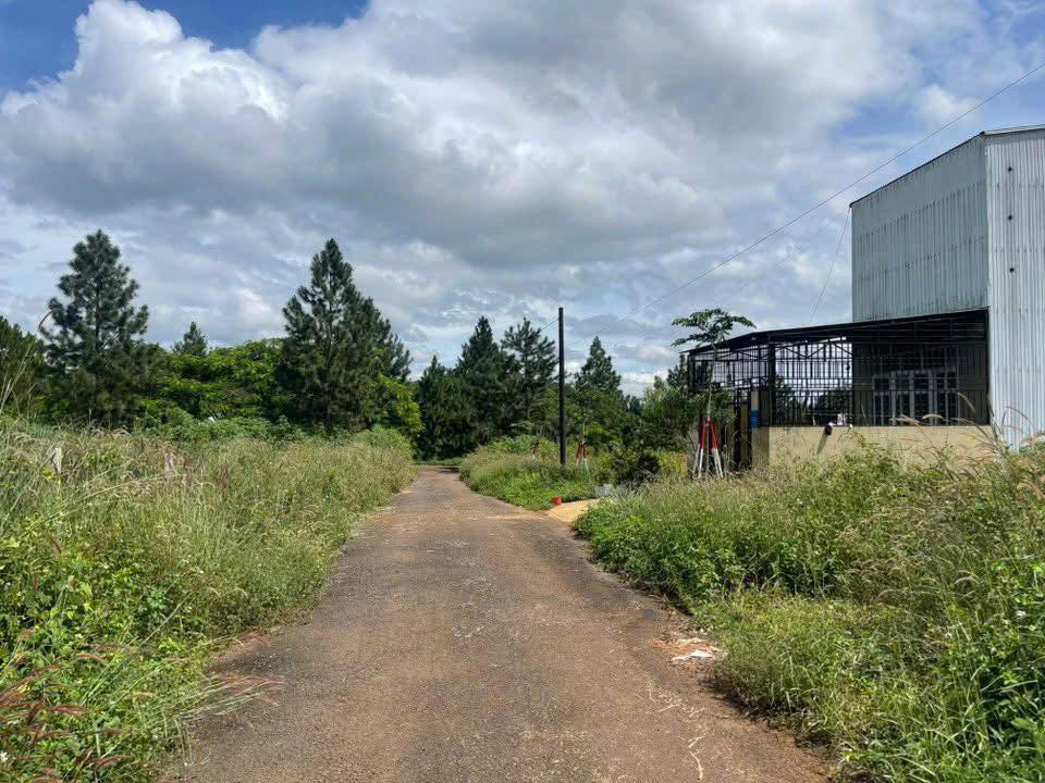 Đất nền khu tái định cư Trà Đa, Pleiku 147m² giá chỉ 1.2 tỷ - Hướng Tây Bắc đẹp!