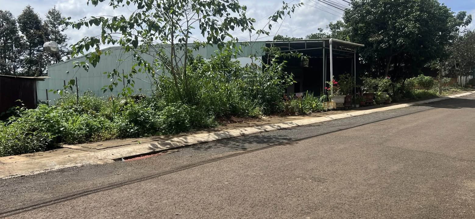 Đất nền mặt tiền Nguyễn Xí, Pleiku 400m² giá chỉ 1xx triệu - Cơ hội đầu tư tuyệt vời!