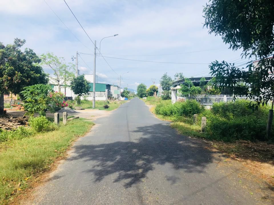 Bán đất mặt tiền đường Nguyễn Thông, xã Tân Bình, 451m² chỉ 2 tỷ - Hướng biển cực đẹp!