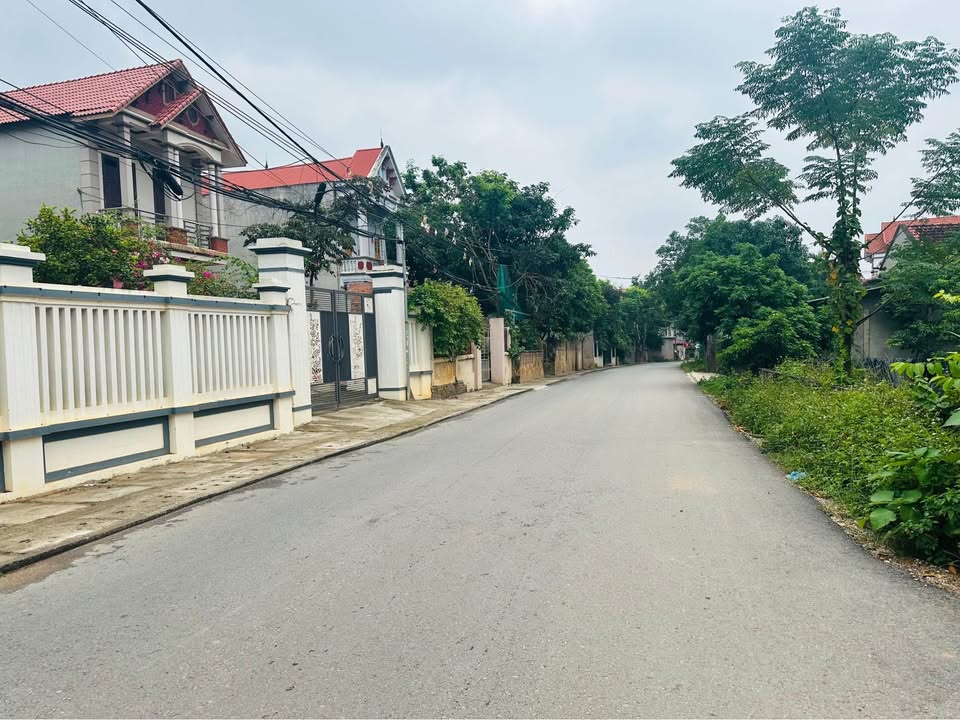 Đất thổ cư Đại Đình - Tam Đảo 118.5m² giá chỉ 1 tỷ - Cơ hội đầu tư sinh lời!