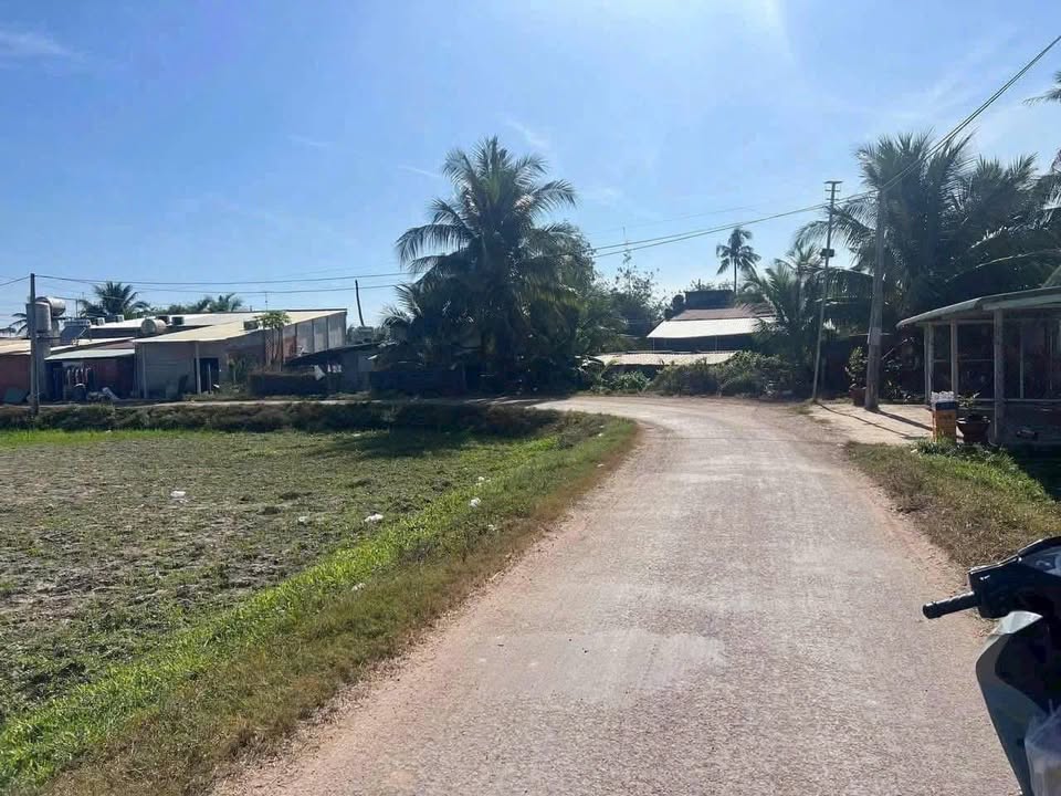 Đất mặt tiền nhựa thông 1/ Sẹc DT 782, Trảng Bàng 975m² - Đầu tư sinh lời ngay!