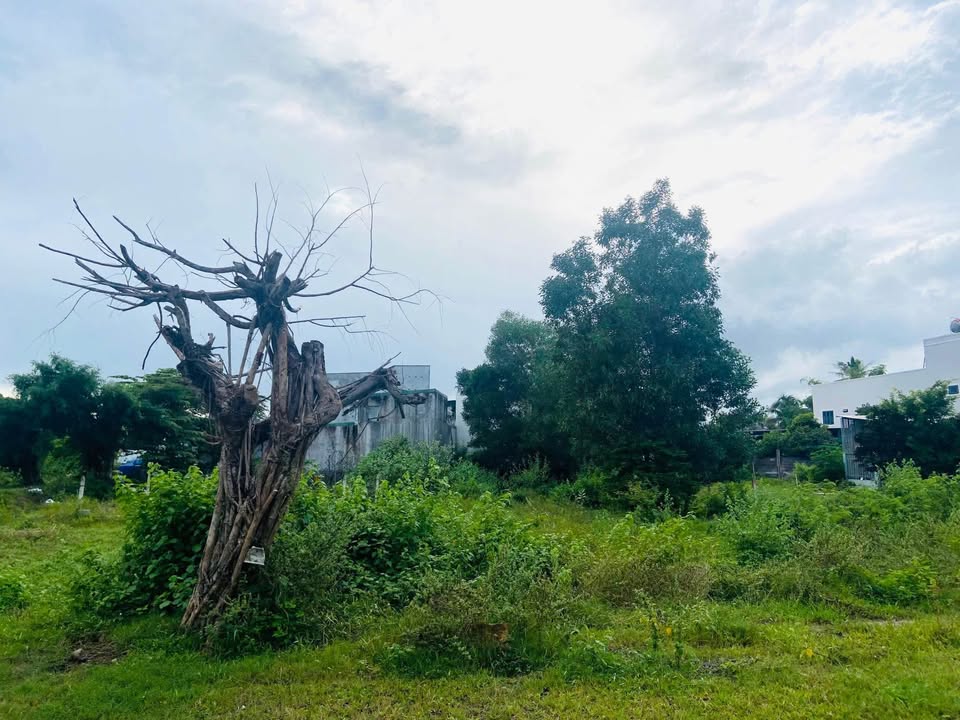 Đất thổ cư Vĩnh Trung, Nha Trang 88.7m² giá 2.2 tỷ - Gần Bến xe phía Nam!