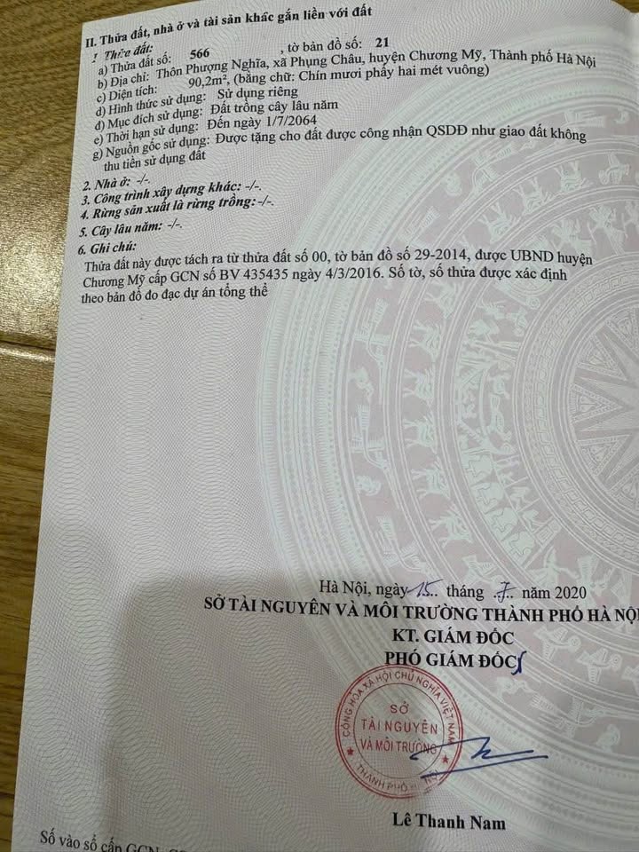 Đất vườn Phụng Châu 90m² giá chỉ 1x tỷ - Sổ đỏ chính chủ đẹp!