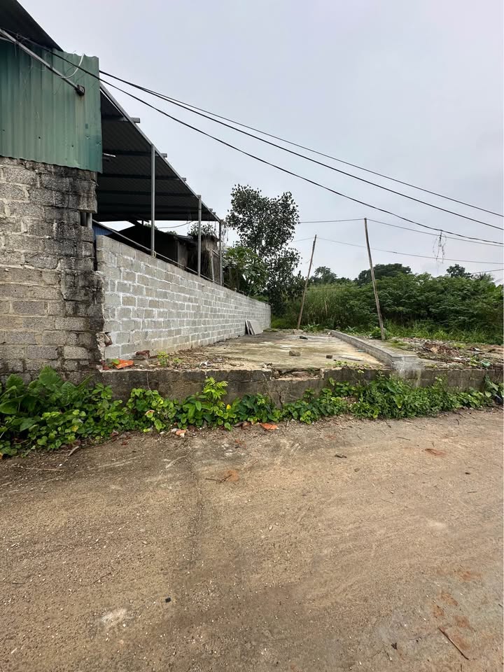 Đất thổ cư Phường Thịnh Đán 63m² giá 1 tỷ - Đầu tư sinh lời tuyệt vời!