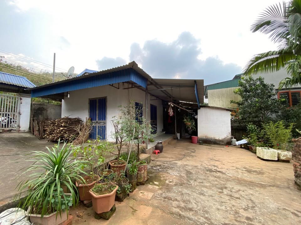 Đất thổ cư 1374m² tại Phục Linh, Đại Từ - Giá chỉ 1 tỷ, cơ hội đầu tư tuyệt vời!