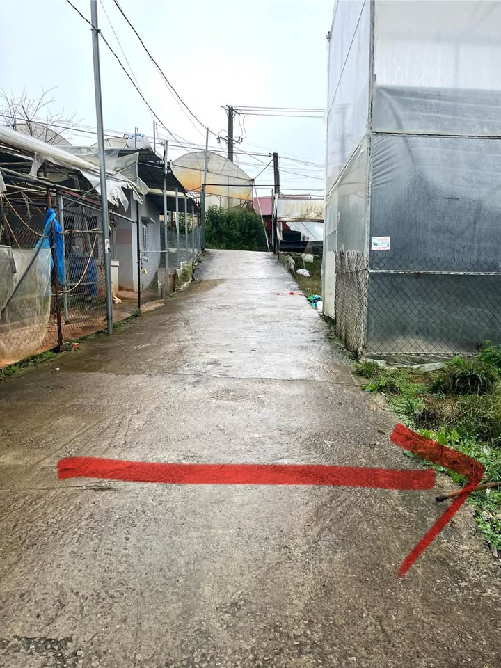 Đất nền Nguyên Tự Lực, Đà Lạt 79m² giá 800 triệu - Cơ hội đầu tư không thể bỏ lỡ!