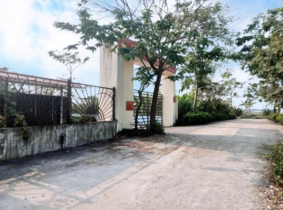 Đất nền đẹp Phượng Dực, Thường Tín 116m² giá 2.32 tỷ - Đầu tư sinh lời ngay!