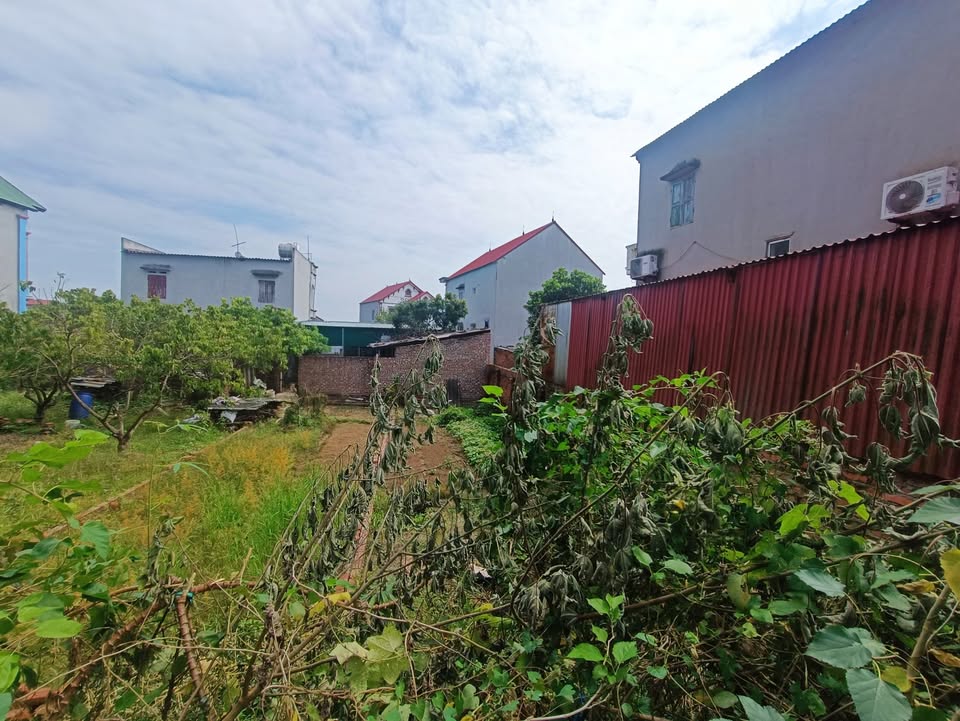 Đất nền Tân Minh, Sóc Sơn 78m² giá 1 tỷ - Ô tô vào đất, pháp lý rõ ràng!