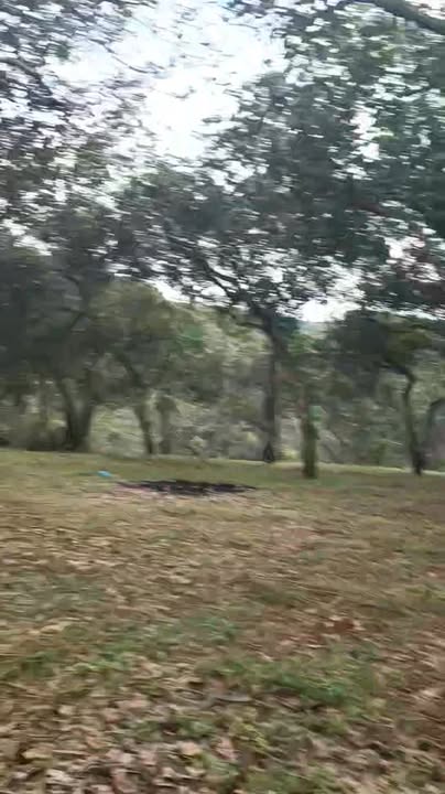 Đất nông nghiệp 2.1ha tại Bù Đăng - Tiềm năng sinh lời cao chỉ 2.2 tỷ!