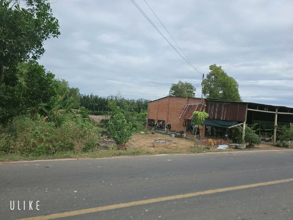 Đất nền mặt tiền đường 781, xã Ninh Điền, 156m² giá 450 triệu - Cơ hội đầu tư tuyệt vời!