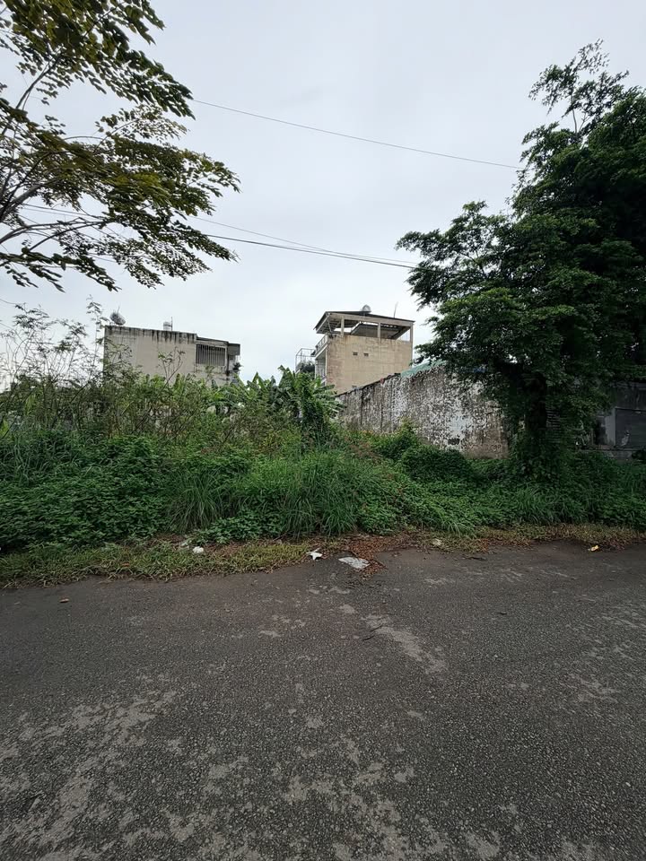 Đất Biệt Thự Thời Báo Kinh Tế Thủ Đức 450m² giá 19 tỷ - Cơ hội vàng hiếm có!