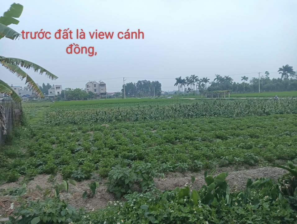 Đất nền Hiền Ninh, Sóc Sơn 87m² - Giá đầu tư hấp dẫn!