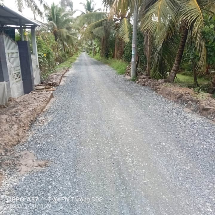 Đất thổ cư 250m² tại Tân Phú Tây, Mỏ Cày Bắc chỉ 690 triệu - Tặng nhà cấp 4!