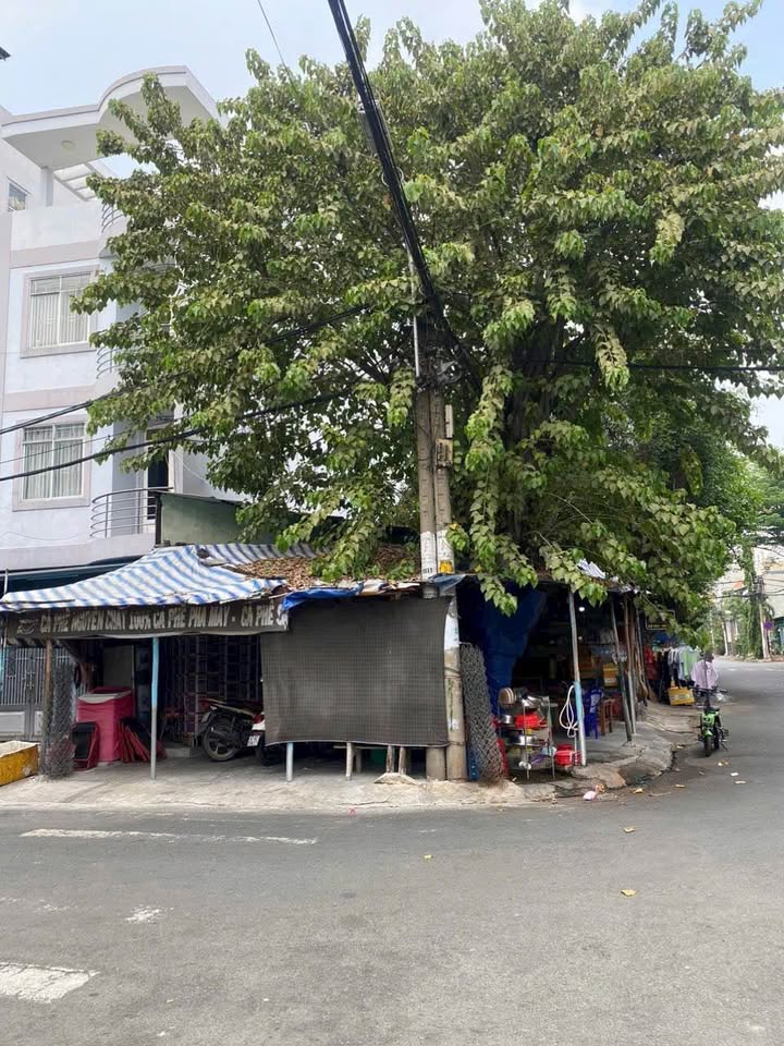 Đất góc 2 mặt tiền đường 53&50A, Tân Tạo, 100m² chỉ 9.6 tỷ - Cơ hội đầu tư hiếm có!