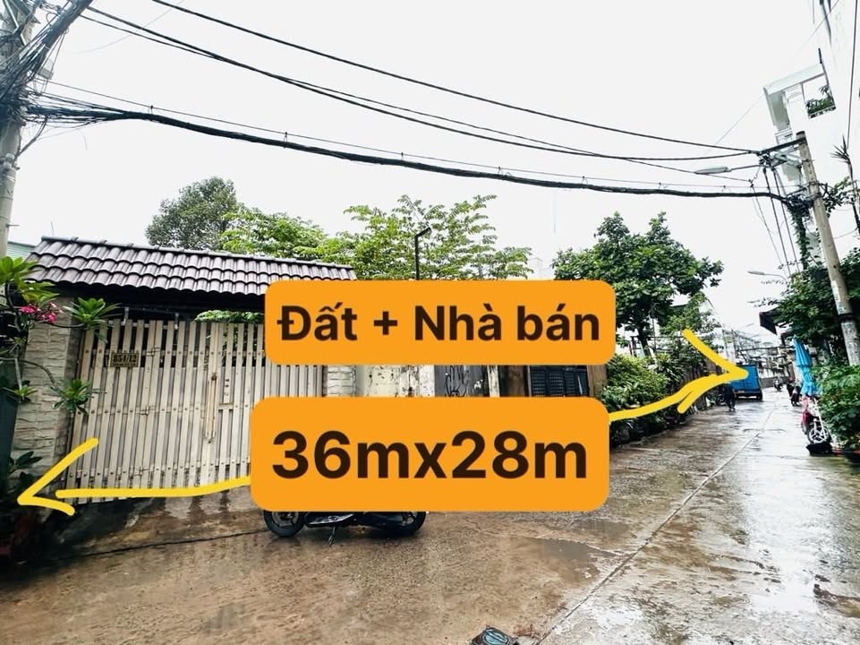 Đất nền 999.6m² Thống Nhất, Gò Vấp - Giá chỉ 50 tỷ - Đầu tư sinh lời!